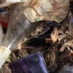 déchets trouvés dans un appartement Diogène