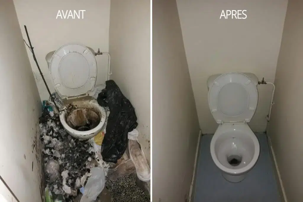 Nettoyage Diogène avant / après